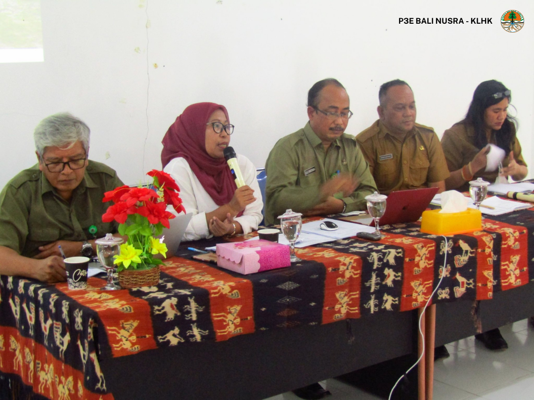 Pertemuan Sinkronisasi Perencanaan Bidang Lingkungan Hidup di Pulau Sumba di Kantor DLH Sumba Timur