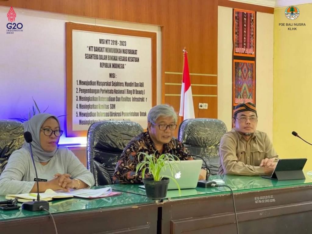 Pertemuan Sinkronisasi/Integrasi Pengarusutamaan Gender (PUG) dalam Perencanaan Pembangunan LHK di Provinsi NTT